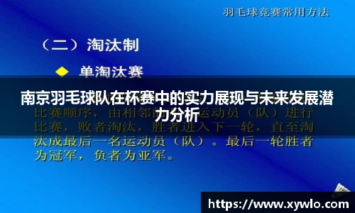 南京羽毛球队在杯赛中的实力展现与未来发展潜力分析