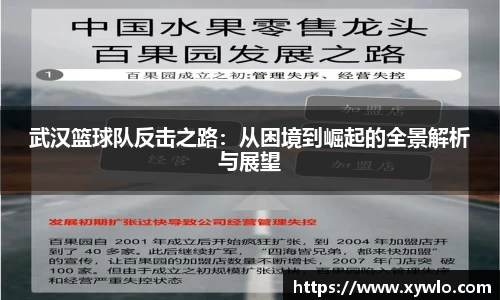 武汉篮球队反击之路：从困境到崛起的全景解析与展望